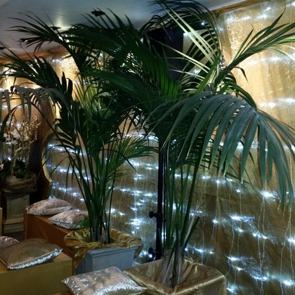 Tropische palmen met warme sfeerverlichting
